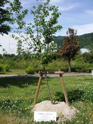 積水多賀化工の動植物