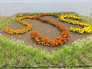 積水多賀化工の動植物