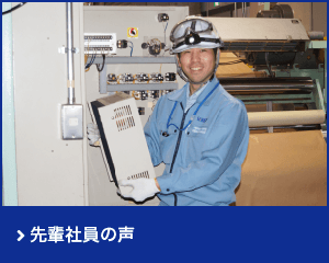 先輩社員の声